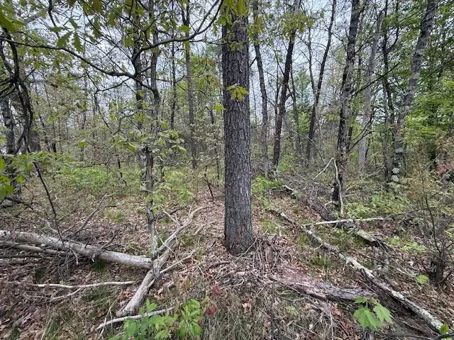 VL Mt. Vernon Avenue, Idlewild, MI 49642 - #3