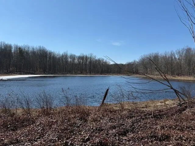 90th Ave, Mecosta, MI 49332 - #2