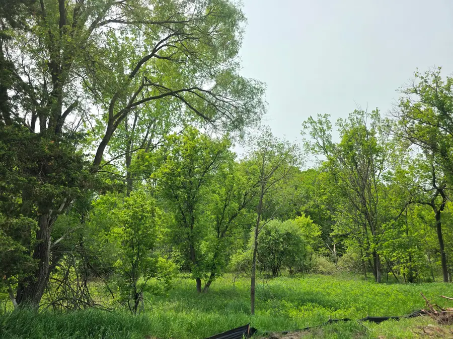 V/L Lot 5 S State Street, Stanton, MI 48888 - Image #2