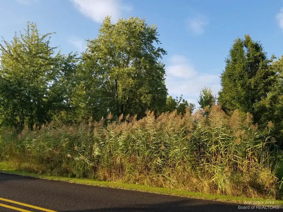 7966 Kingsley Drive, Onsted, MI 49265 - Image #3