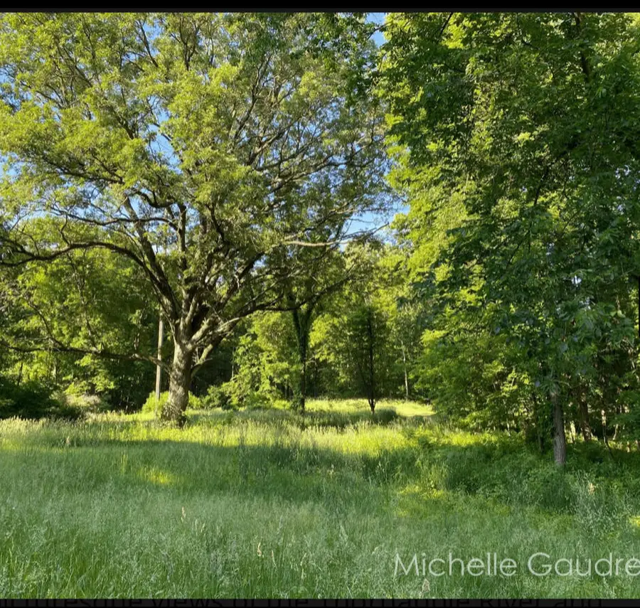 Benzel Court #Parcel 1, Hastings, MI 49058 - Image #3