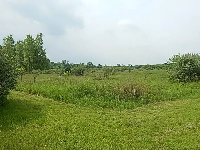 2855 Oakley Road, Stockbridge, MI 49285 - Image #3