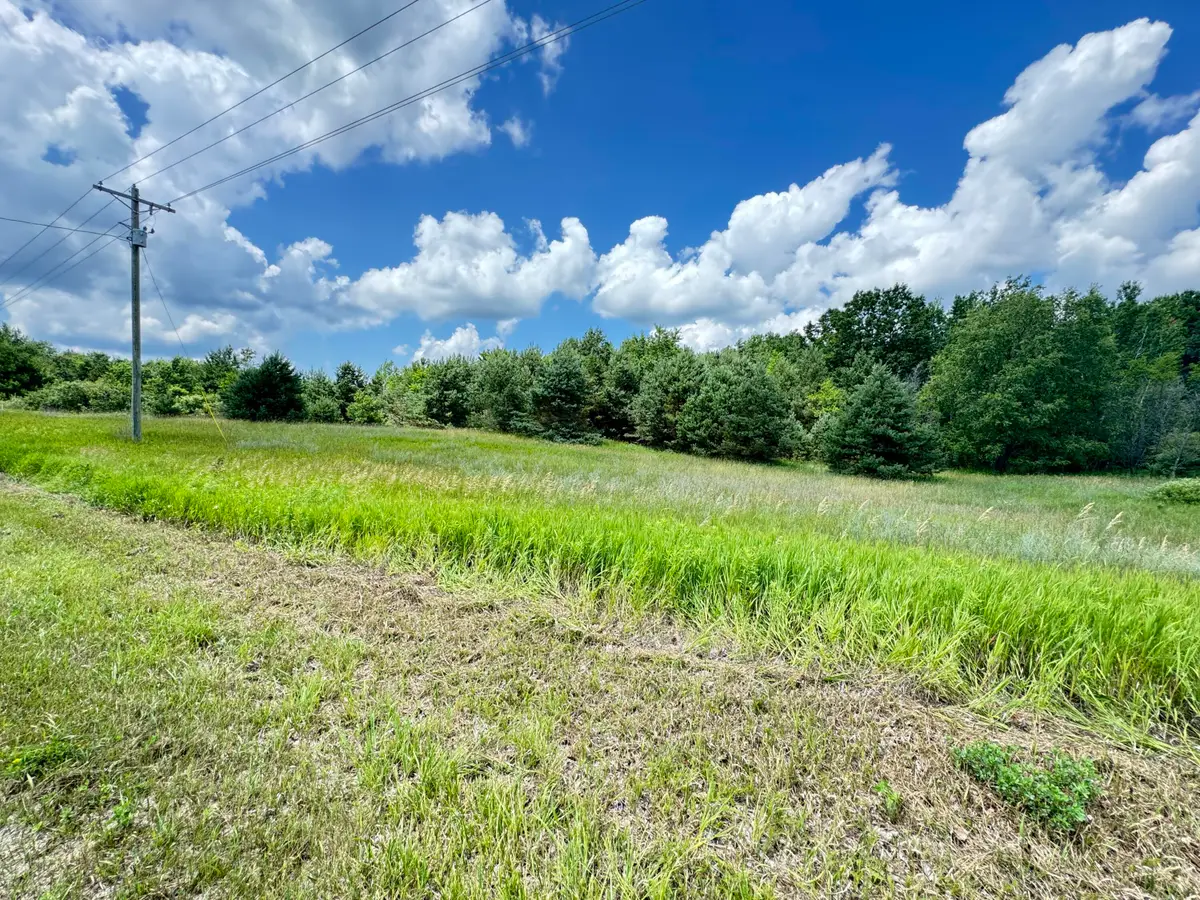 2 acres E 48th Street, Chase, MI 49623 - Image #1