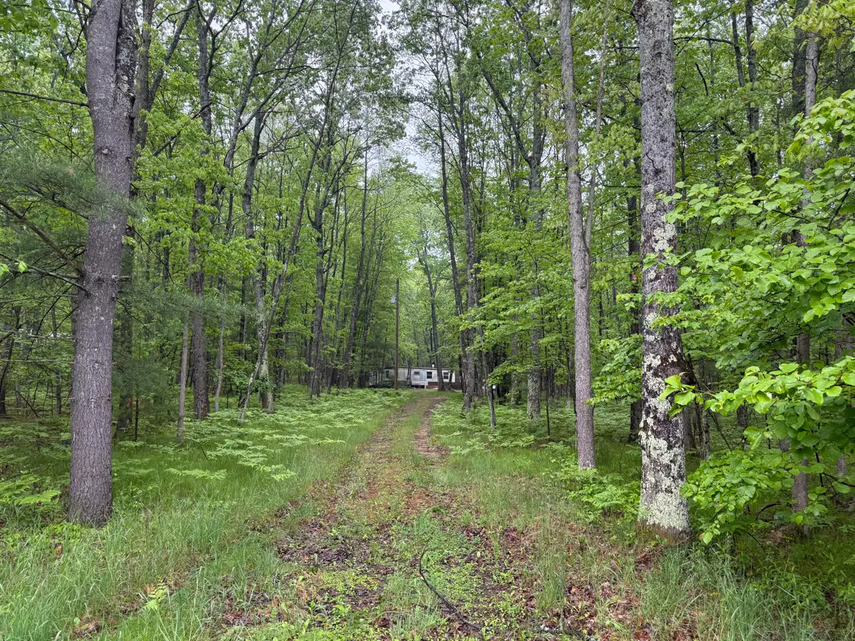 8073 W 10 1/2 Mile Road, Irons, MI 49644 - Image #1