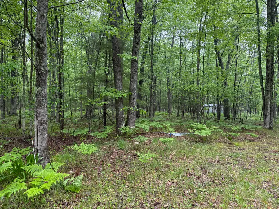 8073 W 10 1/2 Mile Road, Irons, MI 49644 - Image #3