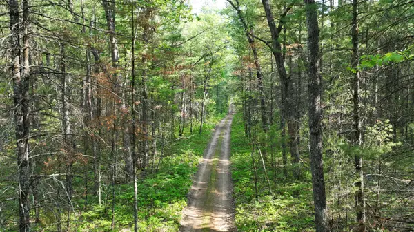 V/L Benson Road, Free Soil, MI 49411