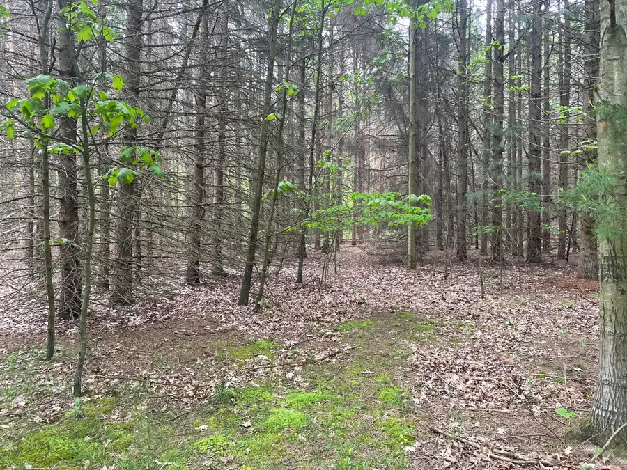 Silver Lake Dr Drive, Shelby, MI 49455 - Image #2