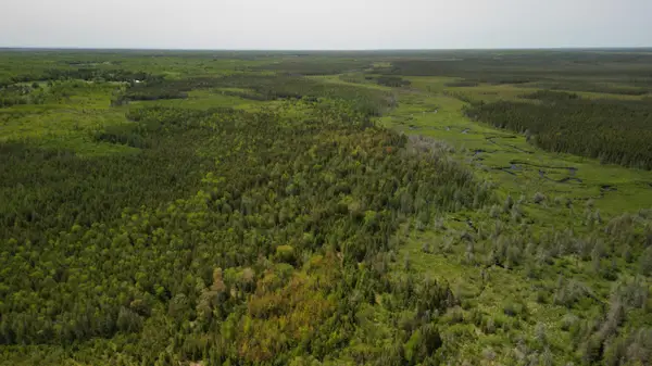 609absec19t43nr13ws1/2ofse1/4, Gulliver, MI 49840