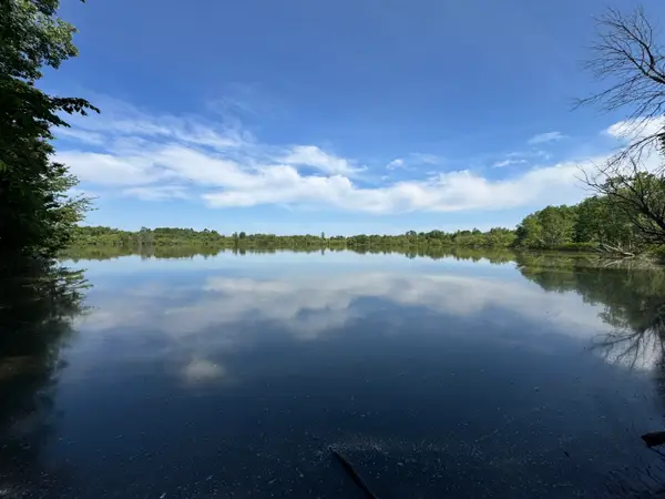 VL Mowatt Road, Mayville, MI 48744