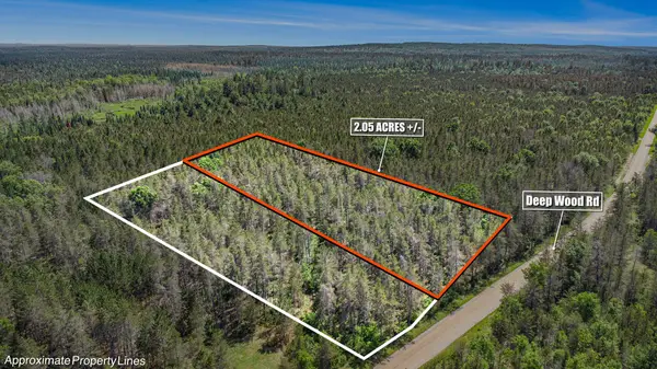 V/L(2.05A) Deep Wood Road, Roscommon, MI 48653
