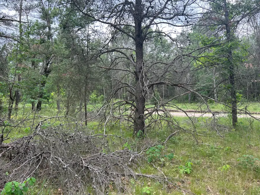 V/L S Dillard Street, Baldwin, MI 49304 - Image #3