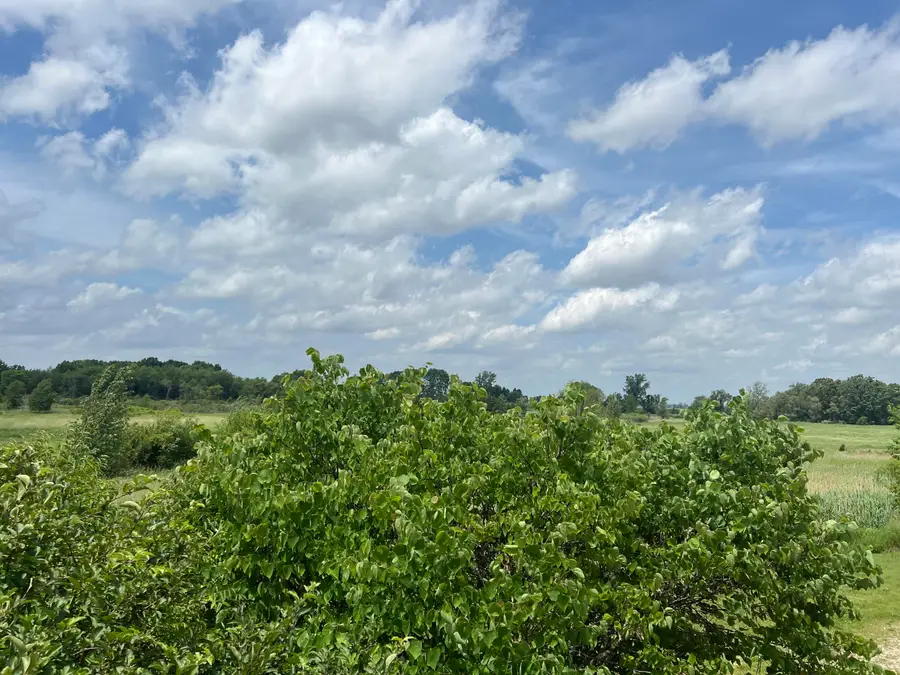 0 Wheeler Road, Coldwater, MI 49036 - Image #2