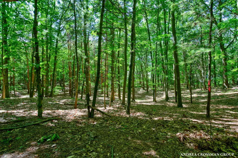 0 Stonebridge Trail #2, Fennville, MI 49408 - Image #2