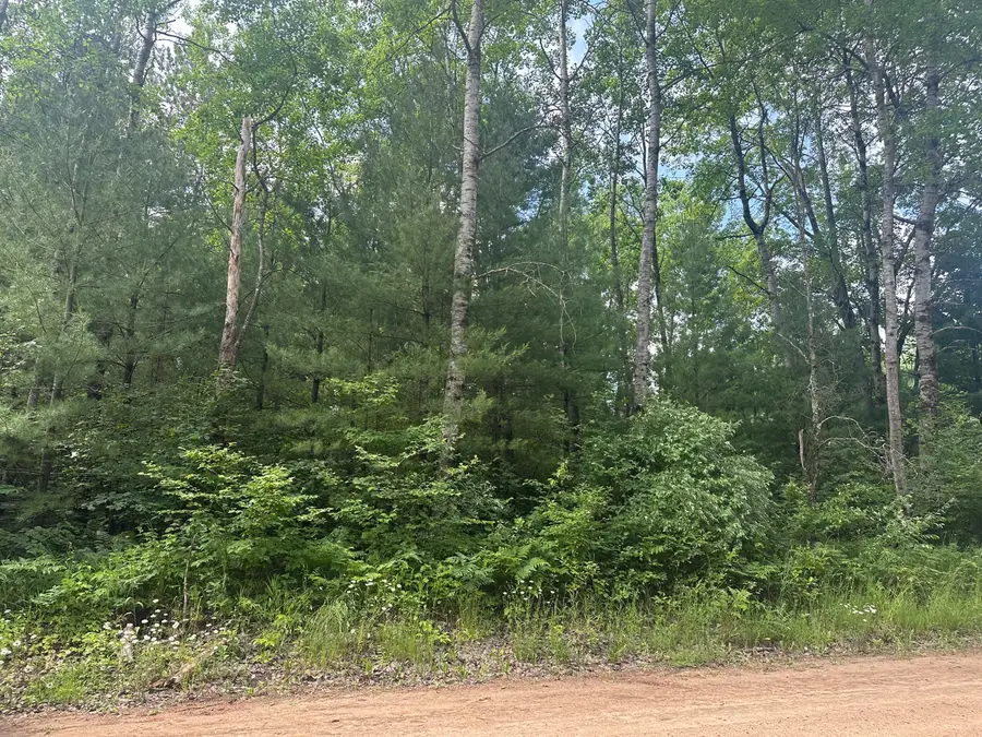 00 N Skookum Road, Luther, MI 49656 - Image #3