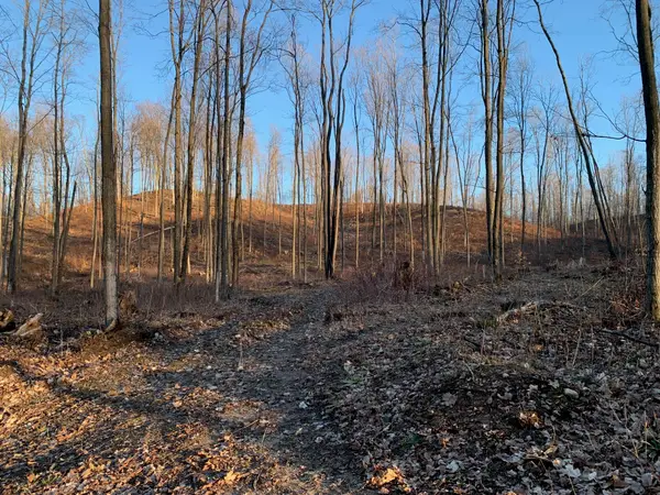 Chief ''e'' Road, Bear Lake, MI 49614