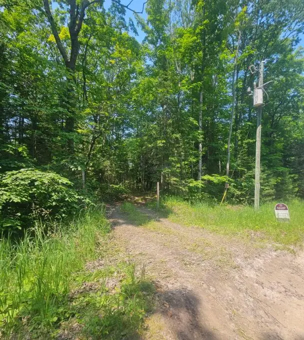 V/L East Side Drive, Beaver Island, MI 49782 - Image #3