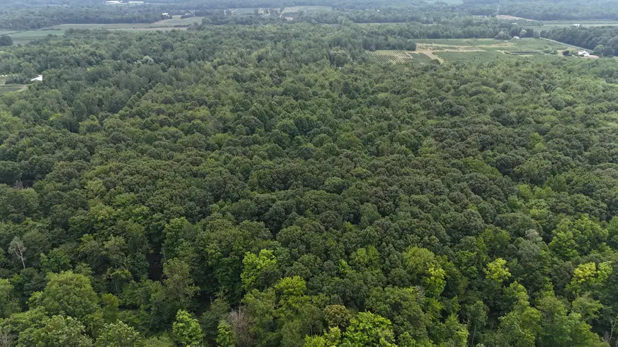 Vl 105th Ave, South Haven, MI 49090 - Image #3