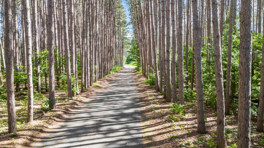 3914 135th Avenue, Hersey, MI 49639 - Image #3