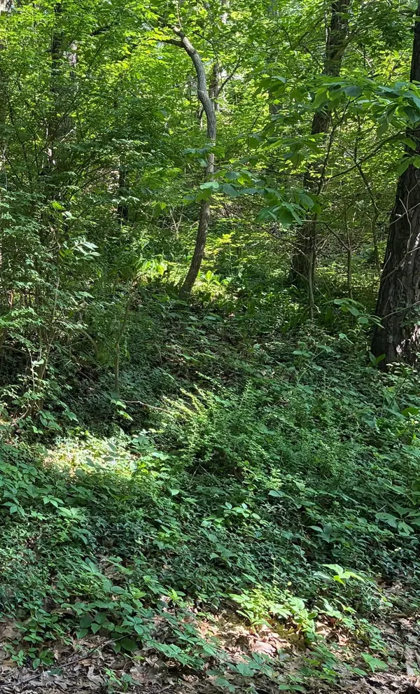 6 Lilac Lane, Grand Beach, MI 49117