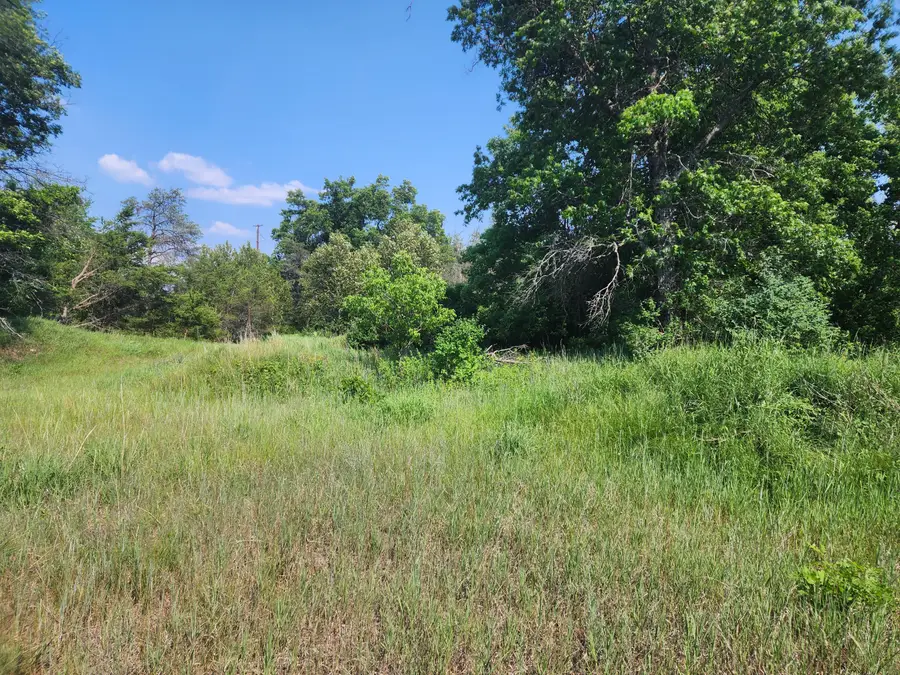 0 Stitt Lane, Mio, MI 48647 - Image #2