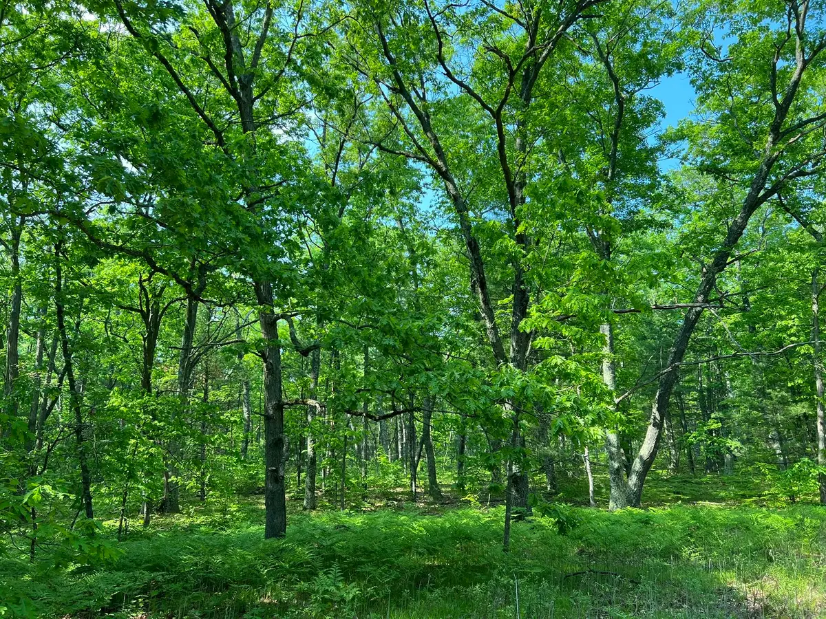 Hill View, Reed City, MI 49677 - Image #1