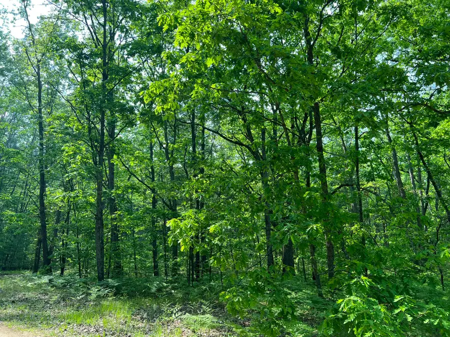 Hill View, Reed City, MI 49677 - Image #2