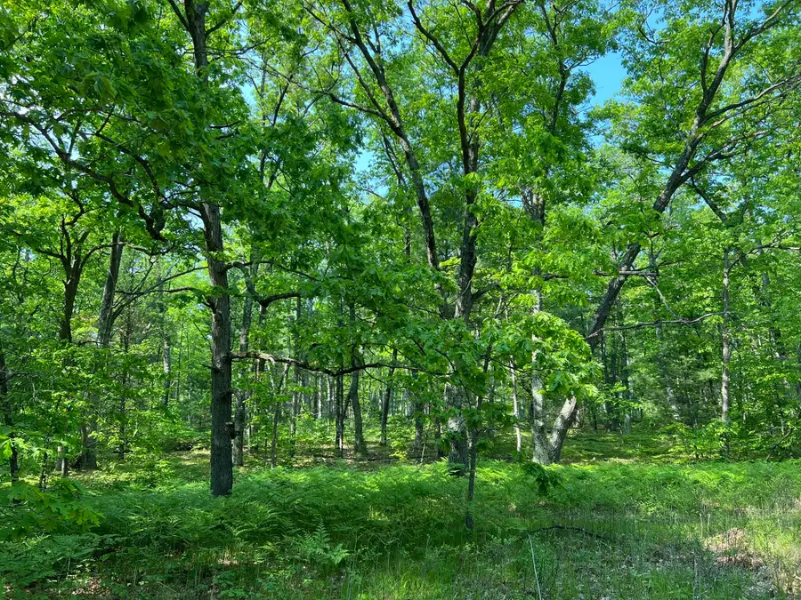 Hill View, Reed City, MI 49677 - Image #3