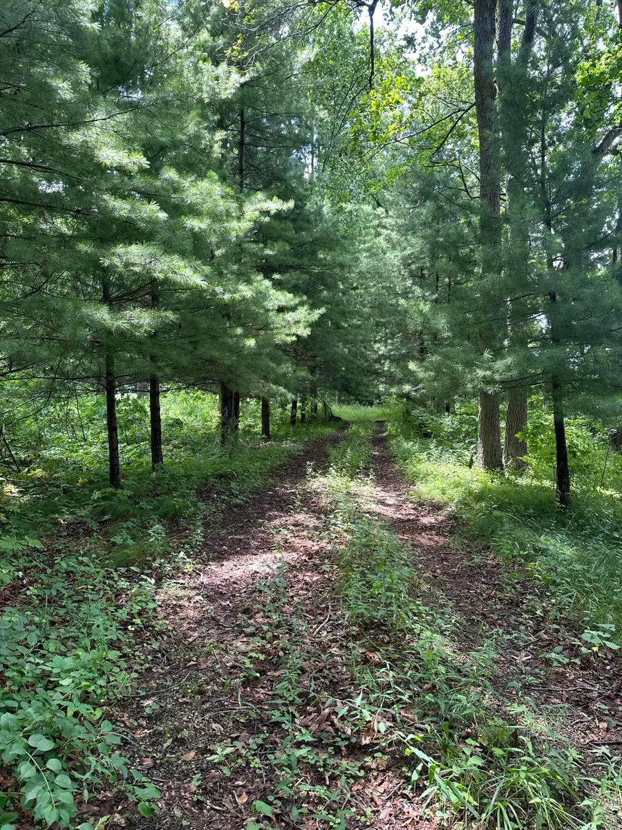 14765 Millard Road, Three Rivers, MI 49093 - Image #3