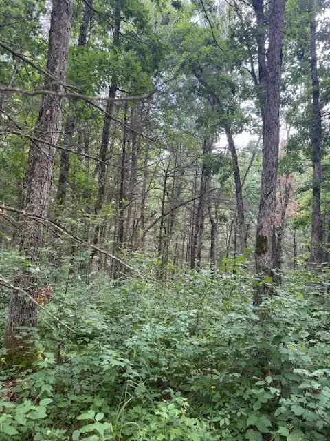 6230 S Evergreen Drive, Newaygo, MI 49337 - Image #2