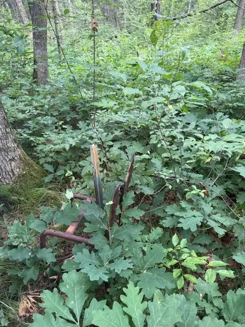 6230 S Evergreen Drive, Newaygo, MI 49337 - Image #3