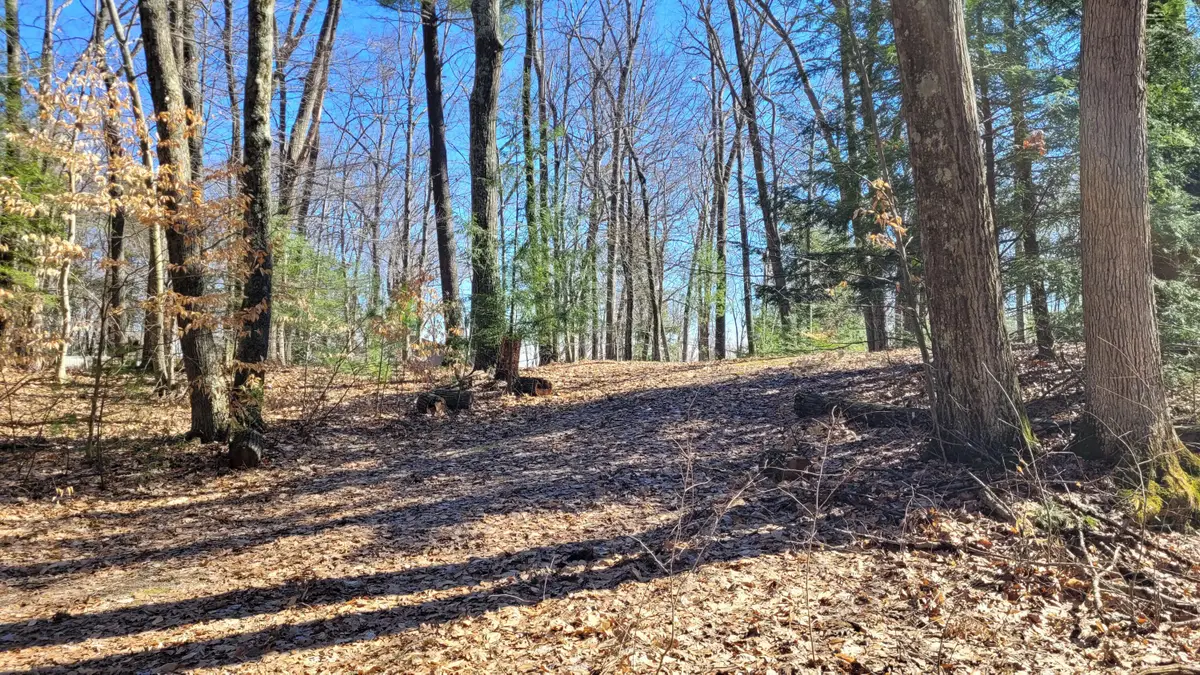 947 W Locust Street, White Cloud, MI 49349 - Image #1