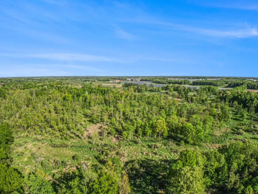 15252 27 Mile Road, Albion, MI 49224 - Image #3