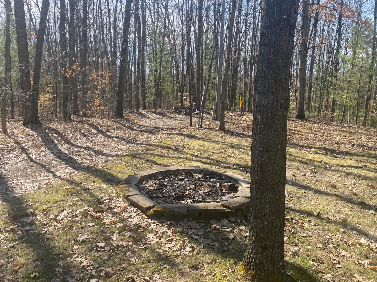 9019 John Street, Mecosta, MI 49332 - #1