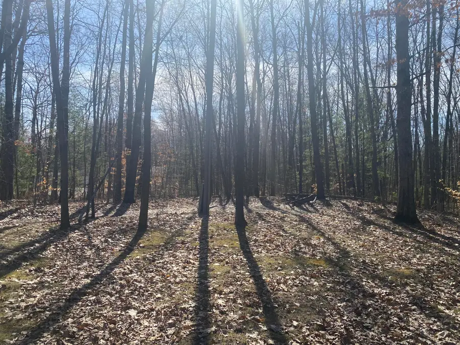 9019 John Street, Mecosta, MI 49332 - #2