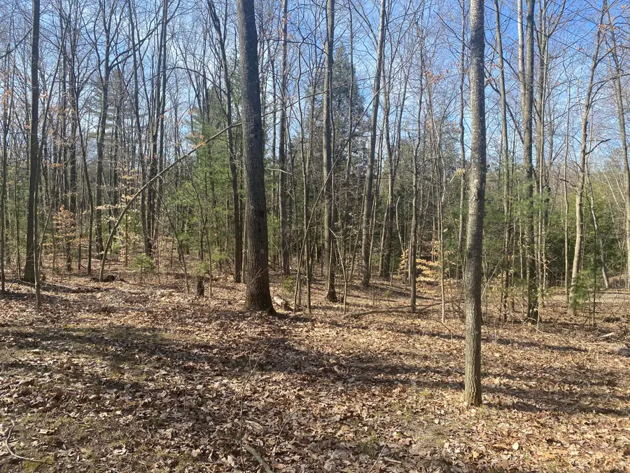 9019 John Street, Mecosta, MI 49332 - #3