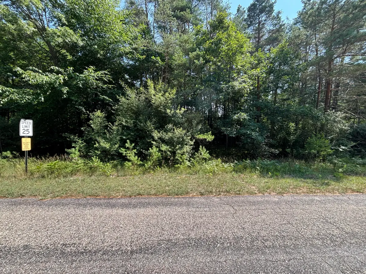 10951 Dobbyn Drive #51, Canadian Lakes, MI 49346 - Image #1