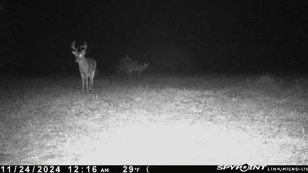 0000 Indian Lake Road, Evart, MI 49631 - Image #3