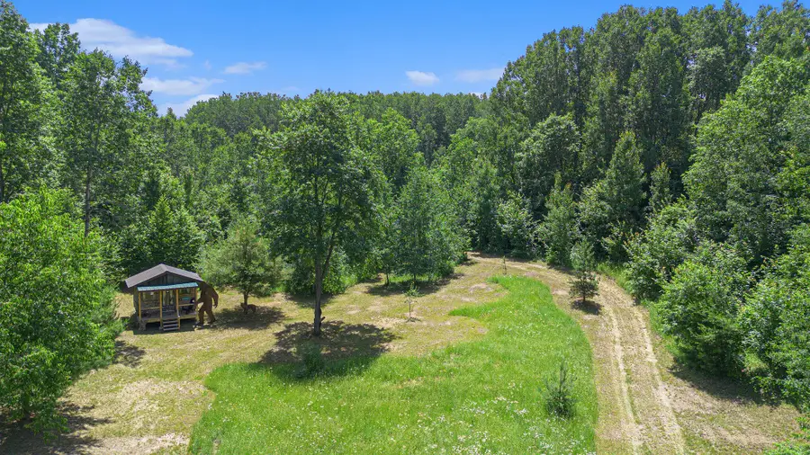 9255 Amanda Court, Mancelona, MI 49659 - Image #2