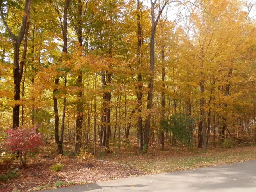 1 Harlan Drive, Watervliet, MI 49098 - Image #3