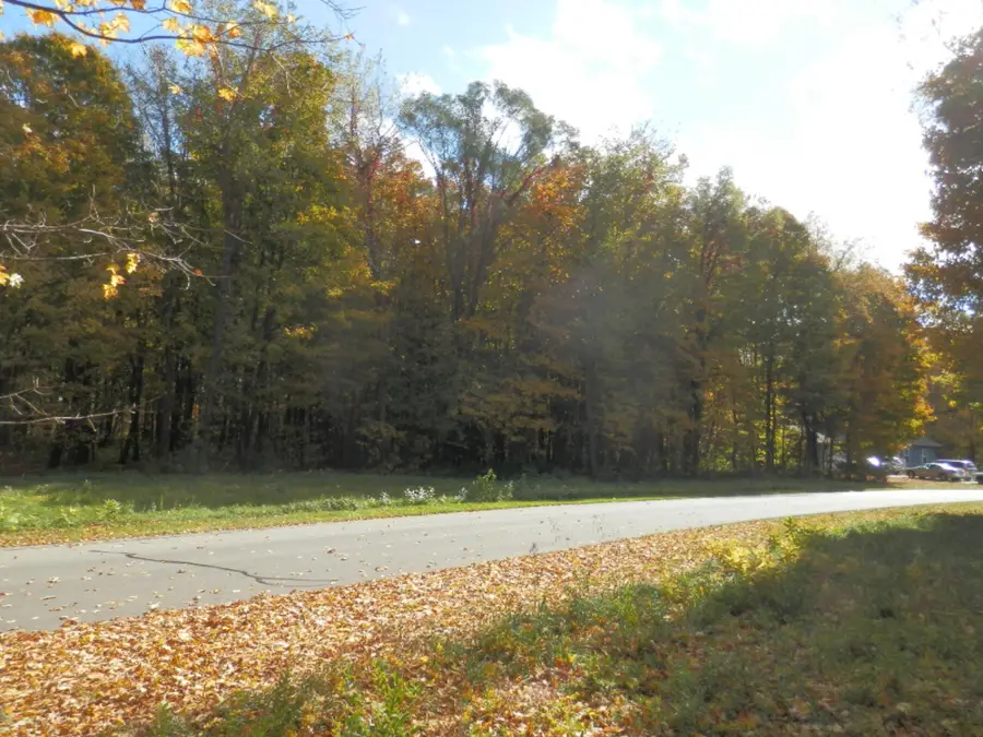 21 Harlan Drive, Watervliet, MI 49098 - Image #3