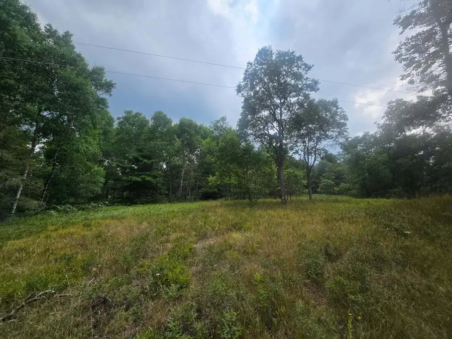 11722 Behlke Road Se, Fife Lake, MI 49633 - Image #3