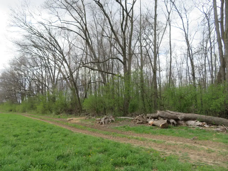 5193 Textile Road, Ypsilanti, MI 48197 - #3