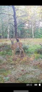 4177 S Michway, Baldwin, MI 49304 - Image #3