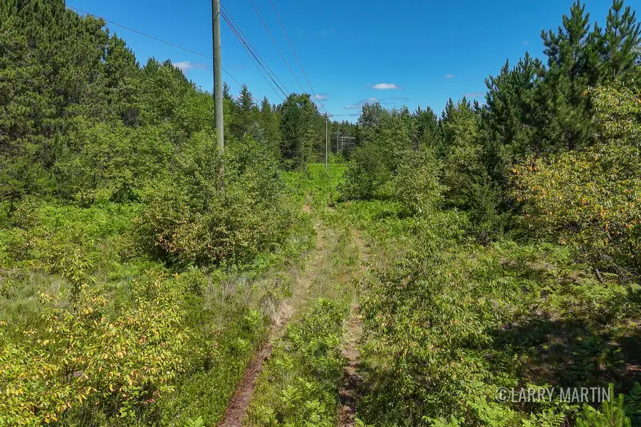 4608 N Spruce Avenue, White Cloud, MI 49349 - Image #3