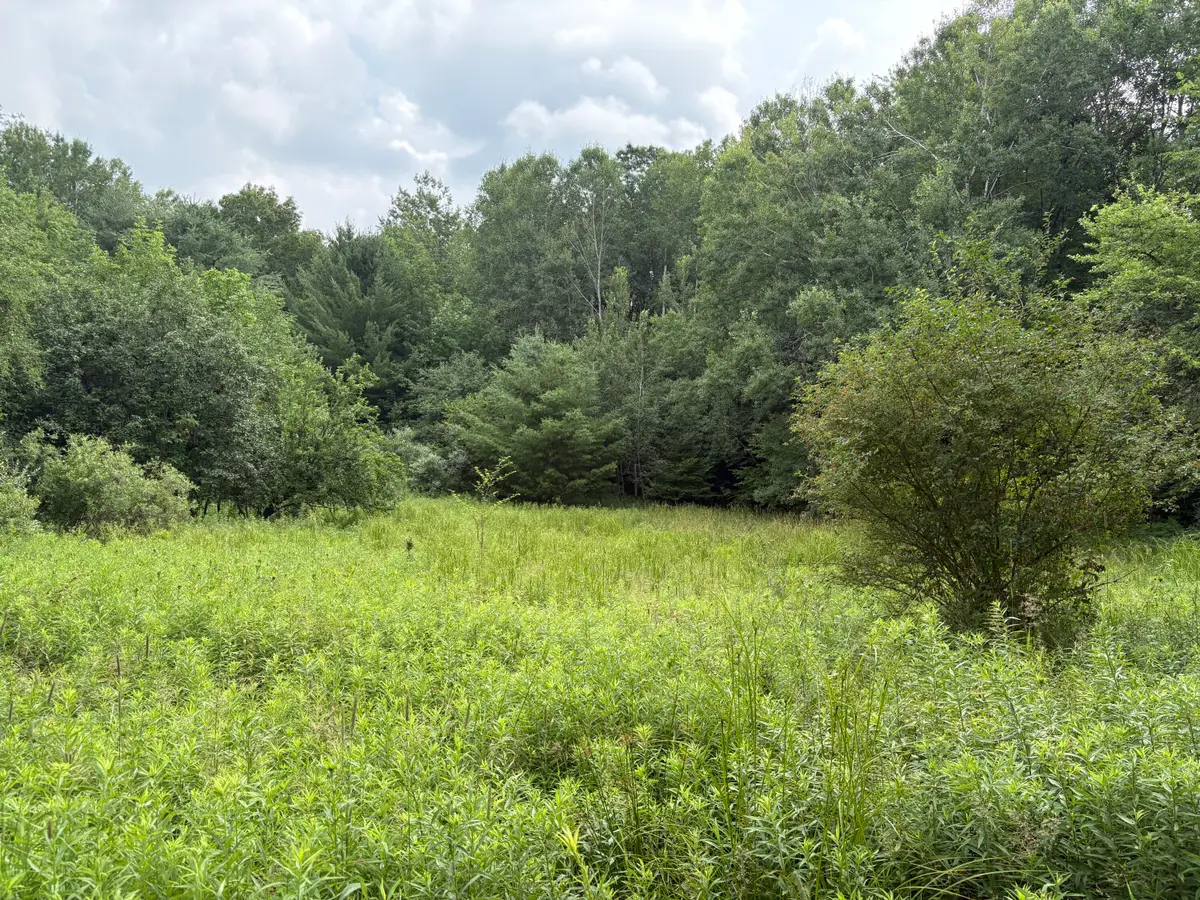 11546 E 3 1/2 Mile Road, Luther, MI 49656 - Image #1