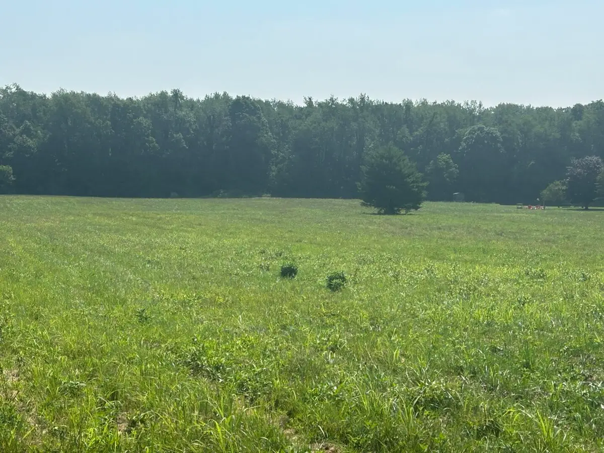 62619 N Cr 365 Road, Lawrence, MI 49064 - Image #1