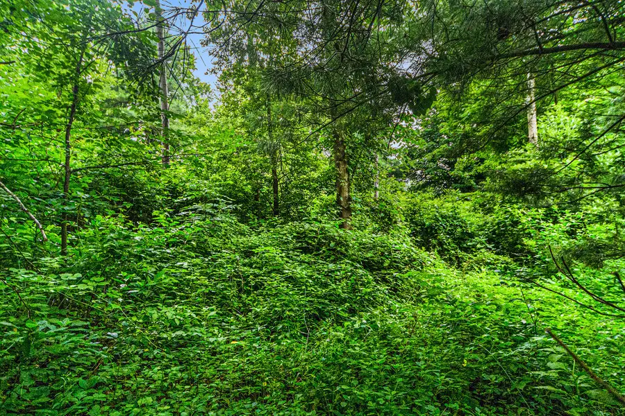 V/L Guernsey Lake Road, Delton, MI 49046 - Image #3