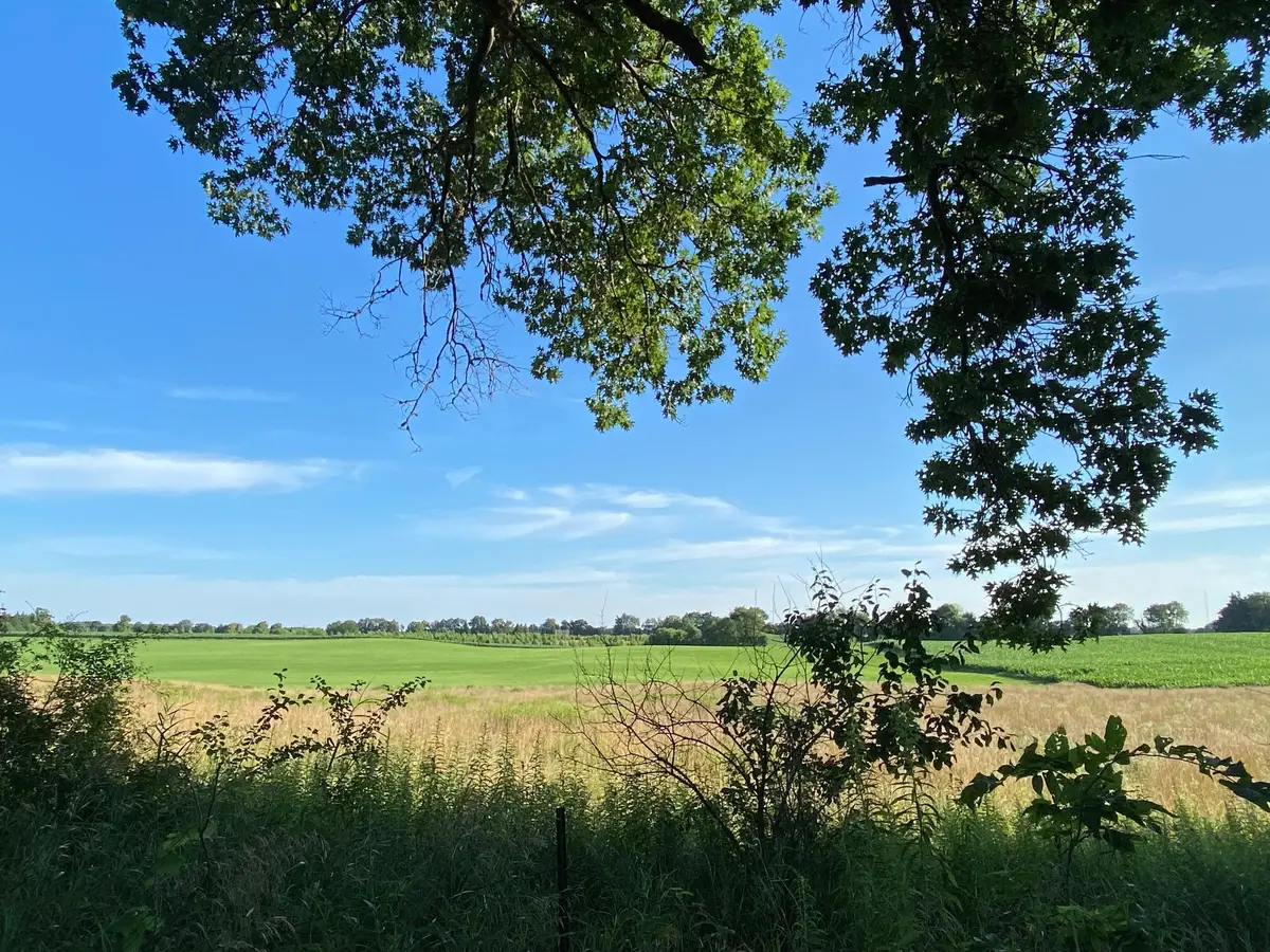 9341 Ef Avenue E, Richland, MI 49083 - Image #1