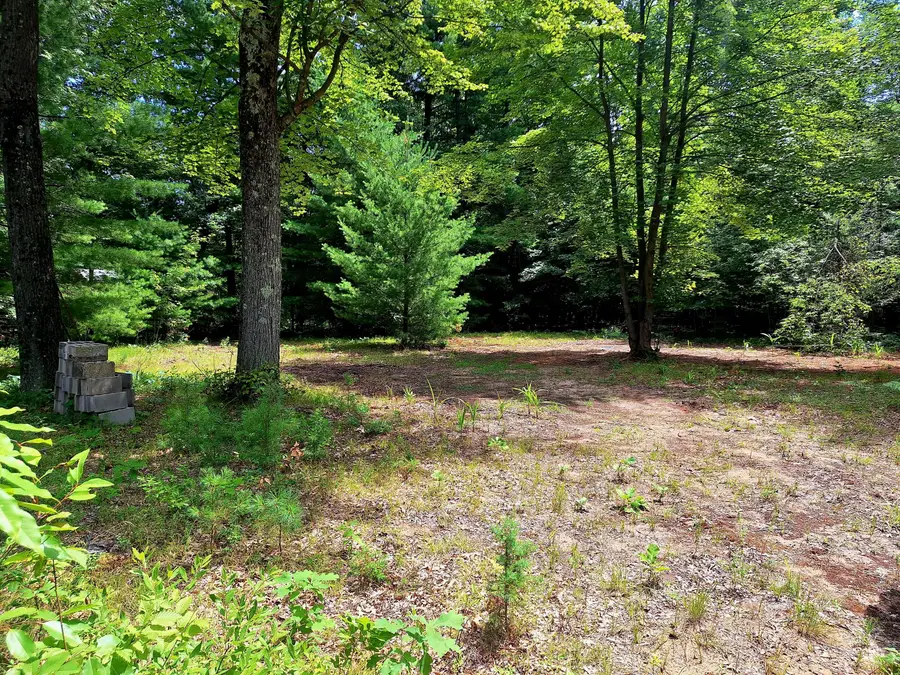 5558 N King Street, Newaygo, MI 49337 - Image #2