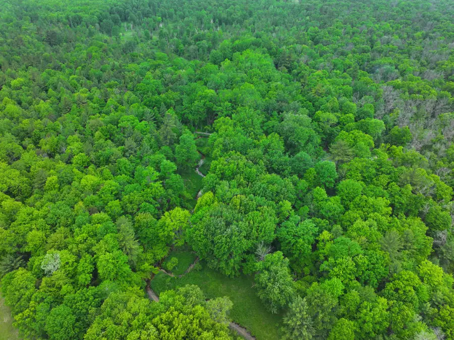 V/L 14A N Woodbridge Avenue, Bitely, MI 49309 - Image #2